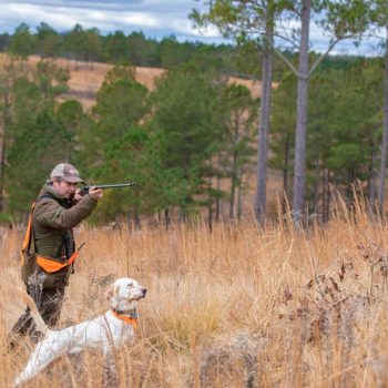 beretta-shooting-grounds-0315-1-1024x683-copy