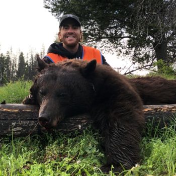 Montana Black Bear Hunt